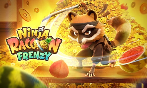 Ninja Raccoon Frenzy game
